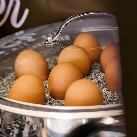 Duesseldorf-lintorf Otel Ratingen